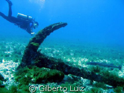 Fernando de Noronha by Gilberto Luiz 